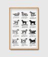 Dog Breed Poster Sale