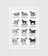 Dog Breed Poster Sale