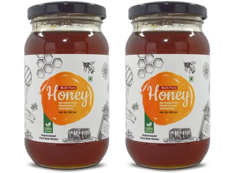 Goldwyn Honey: Multiflora & Free Honey Dipper Stick For Cheap