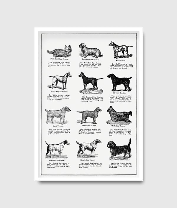 Dog Breed Poster Sale