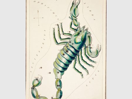 Sidney Hall’s astronomical chart illustration of the Scorpio Online Hot Sale