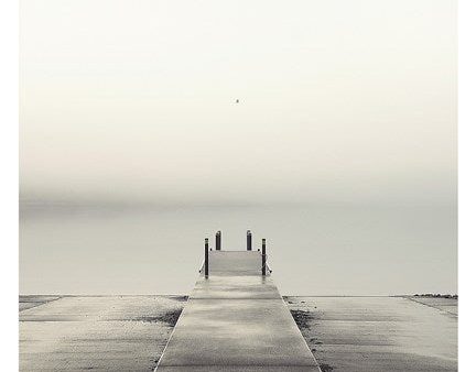 Pier and Seagull on Sale