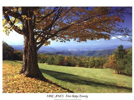 Blue Ridge Beauty on Sale