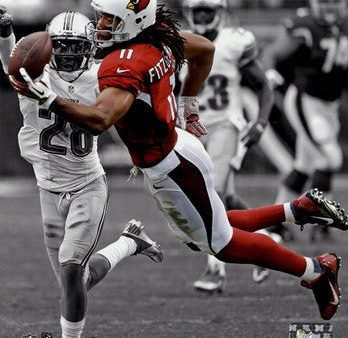 Larry Fitzgerald 2013 Spotlight Action Supply