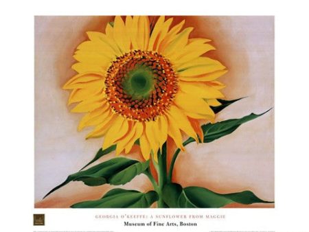 A Sunflower from Maggie, 1937 Online Hot Sale