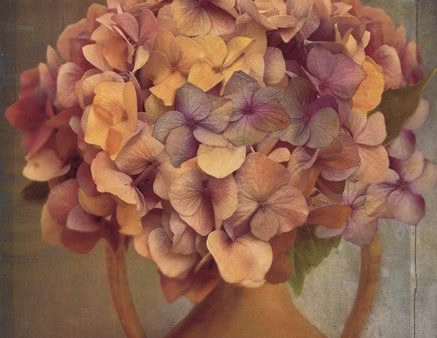 Lavender Hydrangea Online Hot Sale