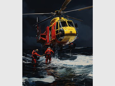 Air Rescue Dilemma For Sale