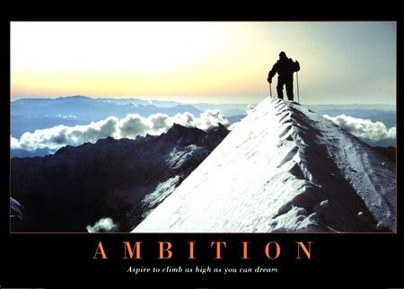 Ambition Online Hot Sale