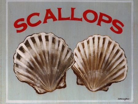 Scallops Cheap