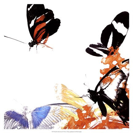 Butterfly Infloresence IV Online Hot Sale