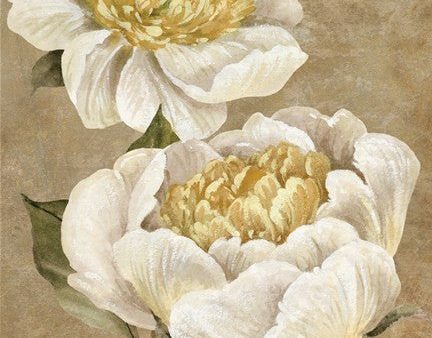 Up Close Cream Peony For Cheap