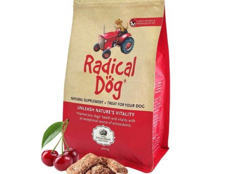 10% OFF: Radical Dog Natural Cherry Biscuit Dog Treats 400g Online Hot Sale