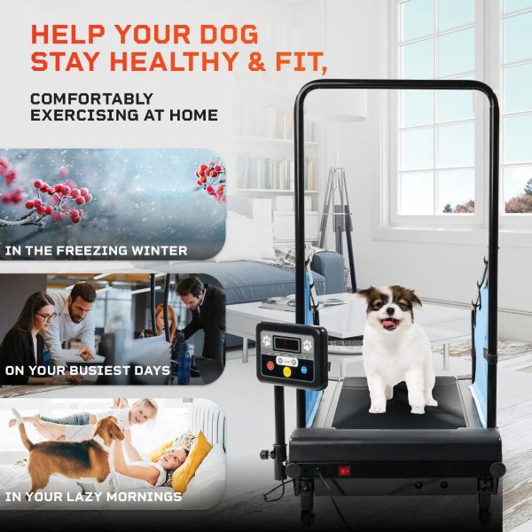 PawRunner Pet Treadmill Hot on Sale