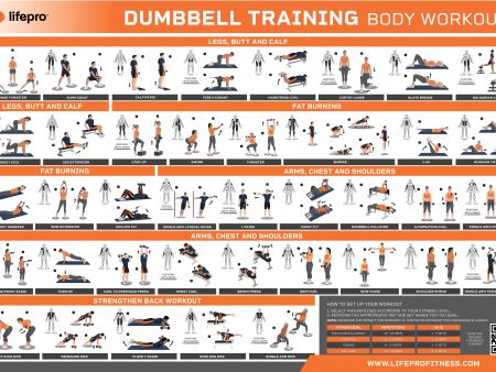 Dumbbell Workout Guide For Cheap