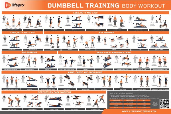 Dumbbell Workout Guide For Cheap