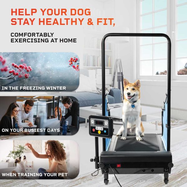 PawRunner Pet Treadmill Hot on Sale