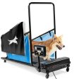 PawRunner Pet Treadmill Hot on Sale