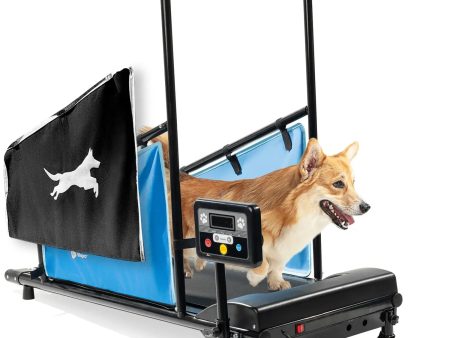 PawRunner Pet Treadmill Hot on Sale